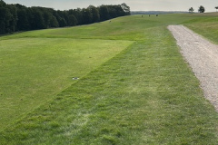 E325918A-97C3-4A90-A4C1-69B30270013C